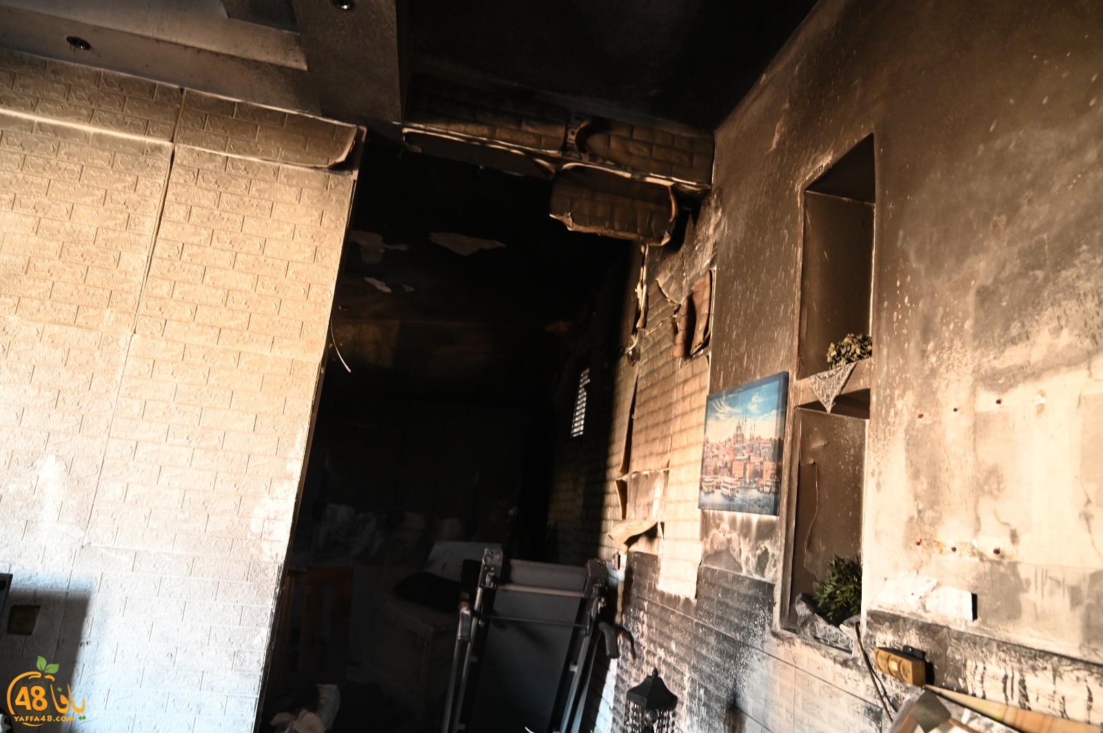 WhatsApp Image 2023-08-03 at 6.56.39 PM (1).jpeg